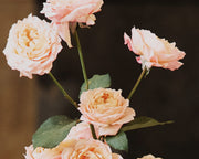 Celebrating REVIEW 40 Years Hosted By Alexandra Ritter